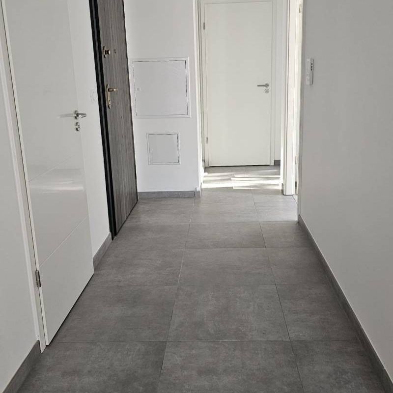 Location - Appartements - COLMAR - 68000 - Photo 1