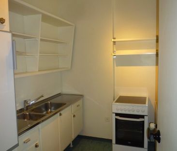 Champel - Quartier clame côté jardin - Photo 1