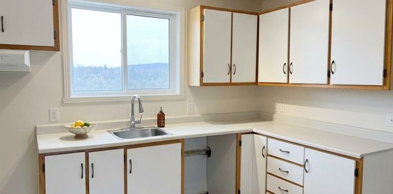 41/2 Près De L'épicerie à Waterville - Photo 2