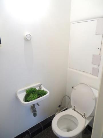 Penthouse te huur in Sint-Lambrechts-Woluwe - Photo 5