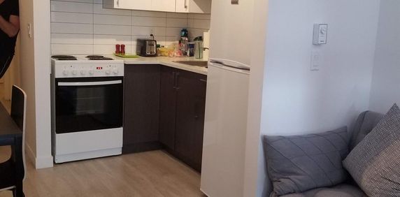 Studio - Montréal - $1,155 /mo - Photo 2