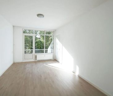 Appartement Segbroeklaan, La Haye - À louer - Foto 1