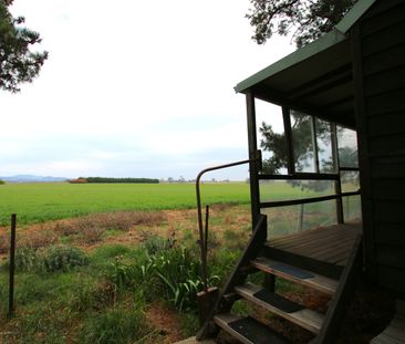 38 Kinghorn Lane, Orange NSW 2800 - House For Rent | Domain - Photo 2