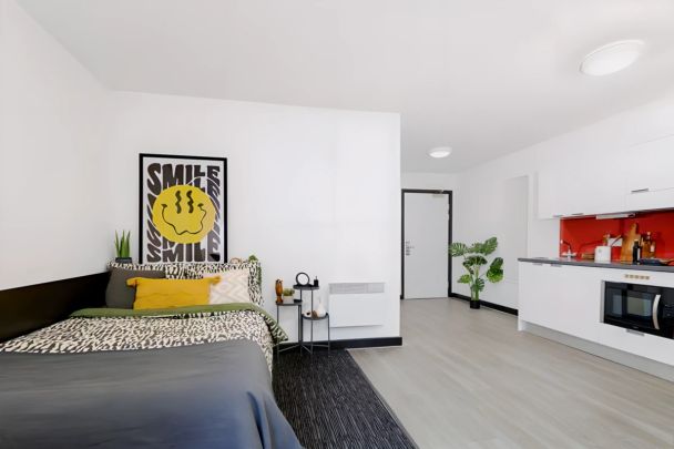 Extra Large Studio - Photo 1