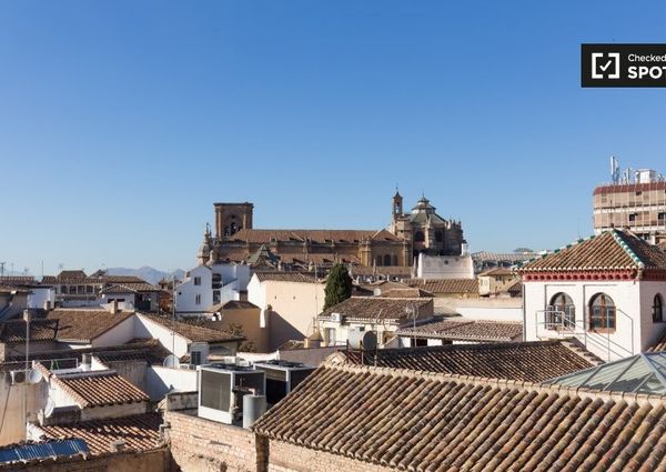 granada, Andalusia 18009