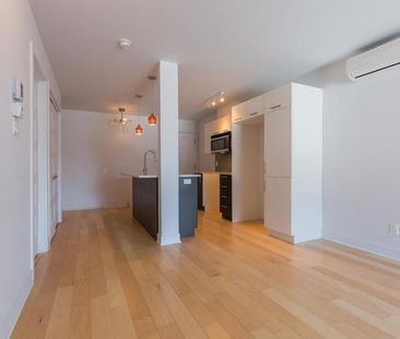 Magnifique condo rénové 4½ de 750 pi² face au parc Père-Marquette, ... - Photo 3