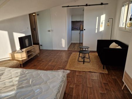 Location Appartement 1 pièce Meublé 28m² ANGERS 49100 - Photo 2