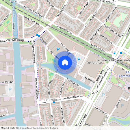 Cronestein, 2321 DB, Morellenweg, Leiden