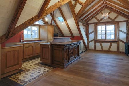 Charming 3-room apartment with fireplace in Weinfelden - Photo 5