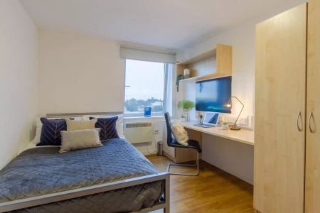 Bronze 6-7 Bed Room - Photo 5