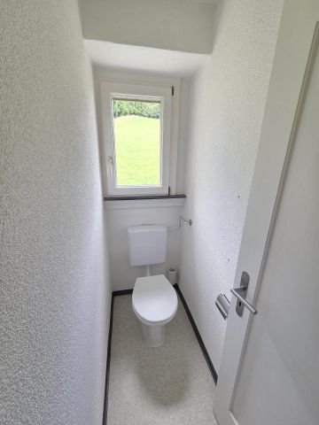 Helle 4-Zimmerwohnung mit Balkon in Teufen - frisch gestrichen! - Photo 4