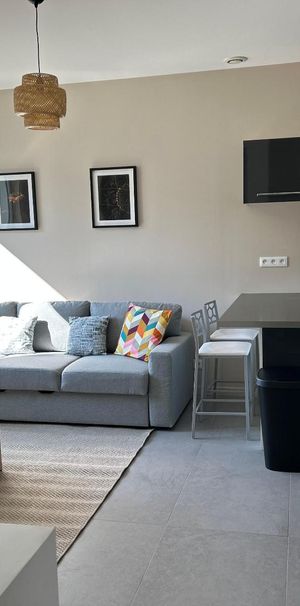 Location Appartement 1 pièce 33m² ST ETIENNE 42100 - Photo 1