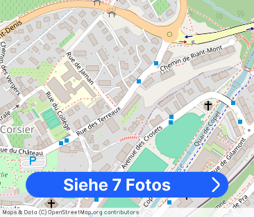 CDD jusqu'au 31.01.2027 - Appartement de 1 pièce avec vue sur le lac - Foto 1