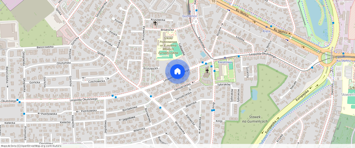 ul. Leopolda Okulickiego, Szczecin