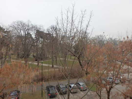 KREMS - STADTPARK, 2-Zimmer Wohnung mit Loggia ab sofort zu vermieten - Foto 1