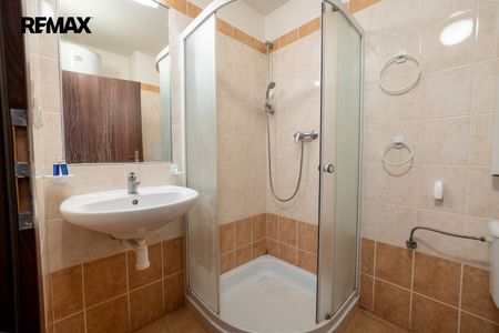 Pronájem bytu 1+kk v osobním vlastnictví 20 m², Městec Králové - Fotografie 3