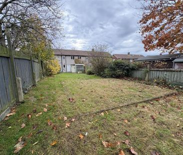 3 bedroom terraced house to rent - Photo 3