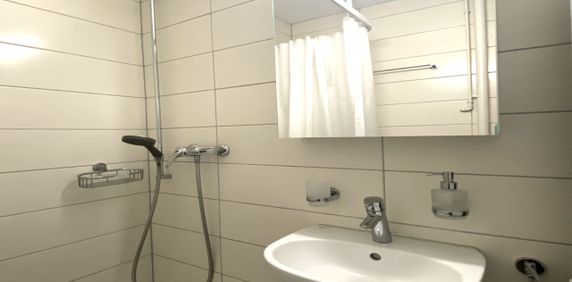 Modern 3.5-room apartment in Kleindöttingen/Böttstein - Photo 2