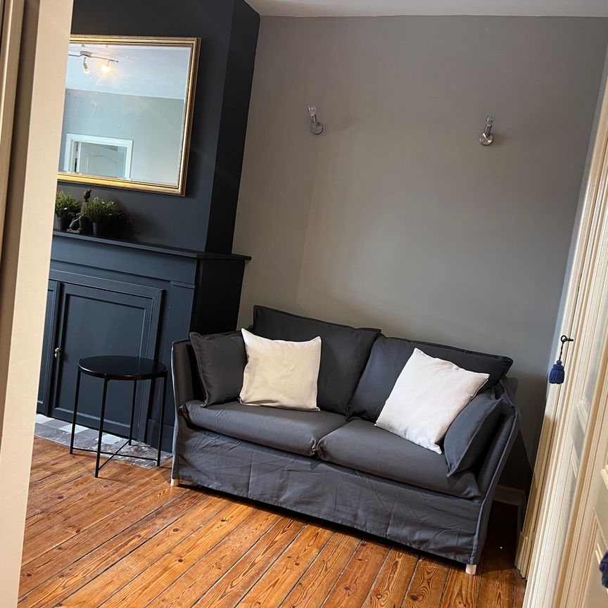 Schön eingerichtetes Studio in Shuman. - Foto 1