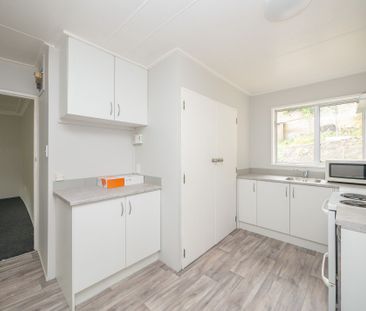 Newly Renovated 2 Bed, 1 Bath Unit - Photo 6