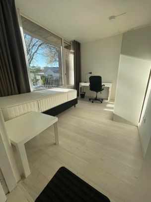 Te huur: Kamer Louise de Colignystraat in Eindhoven - Foto 1