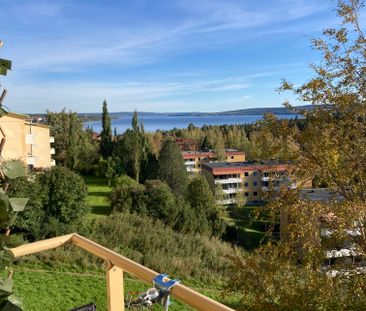 Fritzhemsgatan, Frösön - Photo 2