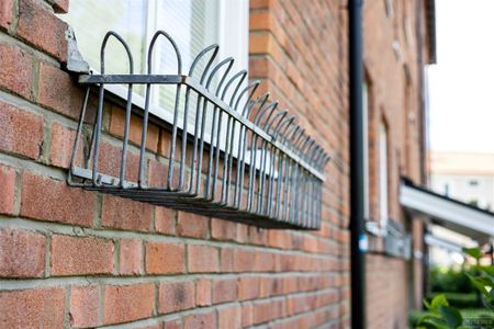 Ljuragatan 99 - Foto 2