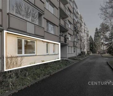 Pronájem bytu 1+1, Děčín - Staré Město - Fotografie 4