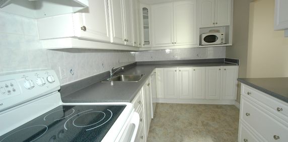 2 bedroom unit close to Cite Collegiale and Ogilvie/Bathgate - Photo 2