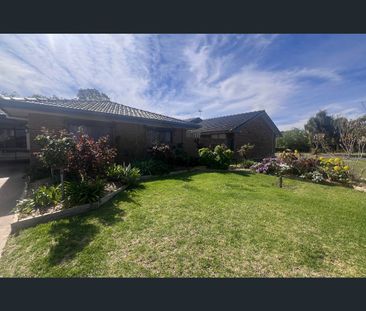159 Twelfth Street, Mildura, Vic 3500 - Photo 2