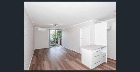 Freshly updated, in Vibrant Victoria Park - Photo 5