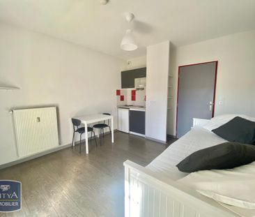 Location Appartement 1 pièce 19m² LIMONEST 69760 - Photo 2