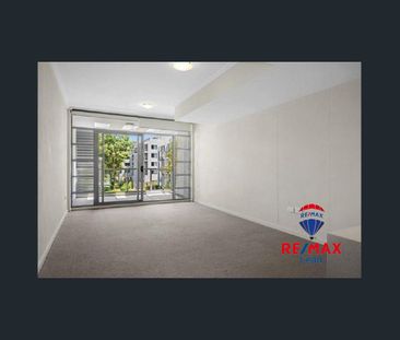 One bedder with study! Super convenient location in the heart of Li... - Photo 4