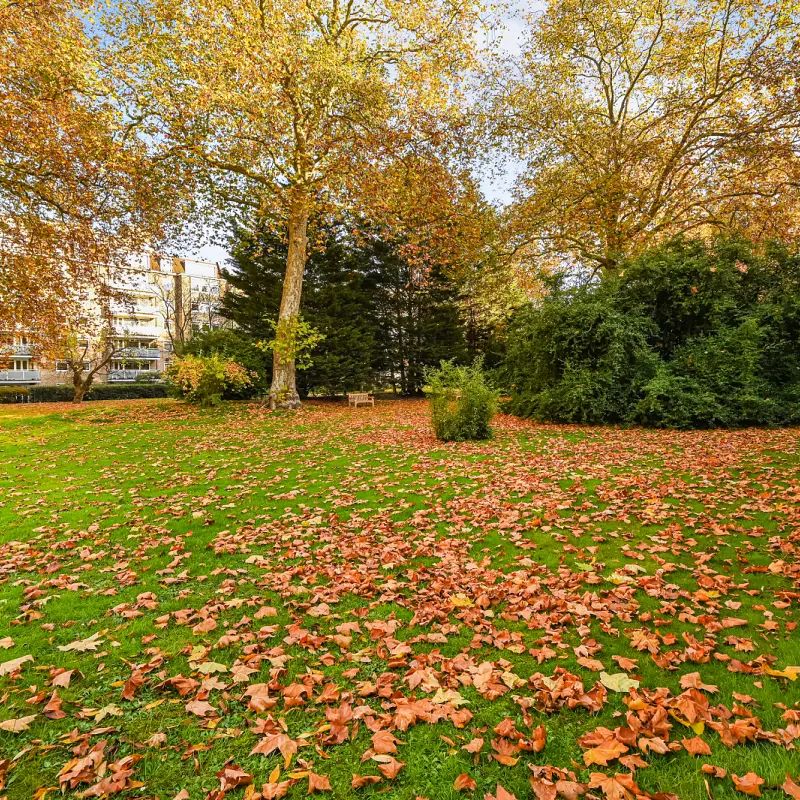 1 bedroom flat in Chelsea - Photo 1