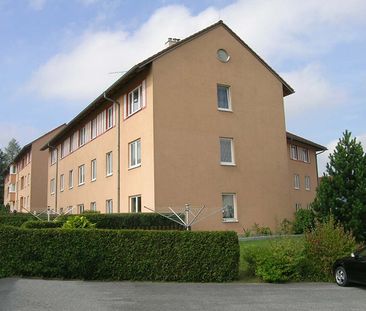 Wohnung in Allentsteig - Photo 4