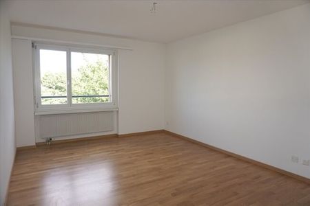 LOCATION SANS DÉPÔT - appartement central à la campagne - Photo 4