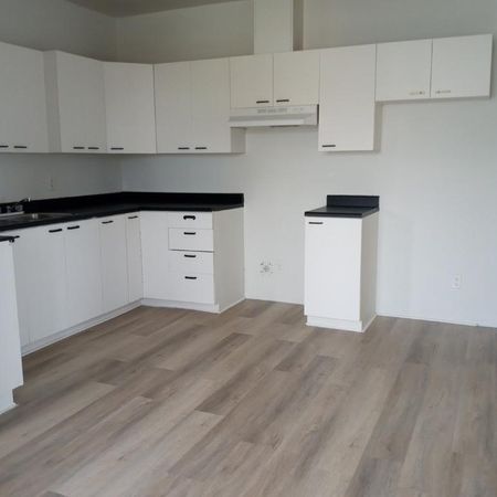 Superbe logement 4 1/2 vue sur la mer , Sainte Anne des Monts , Haute Gaspésie , Paradis des sports et qualité de vie ! - Photo 4