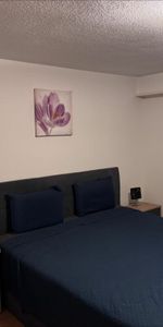 Comfortable 2.5-room apartment in a great location - Photo 3