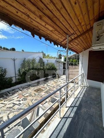 Διαμέρισμα για ενοικίαση Ωρωπός - Φωτογραφία 2