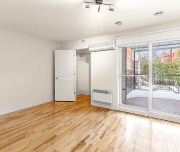 Appartement à louer, Montréal (Le Plateau-Mont-Royal) - Photo 4