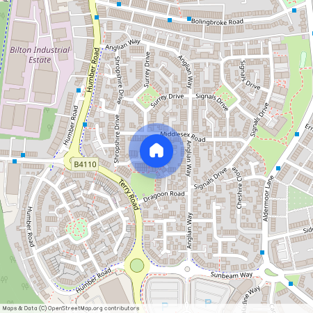 Lifeguard Mews, Coventry