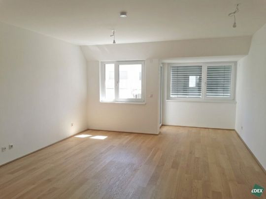 Schöne 1-Zimmer-Wohnungen mit Terrasse - Foto 1