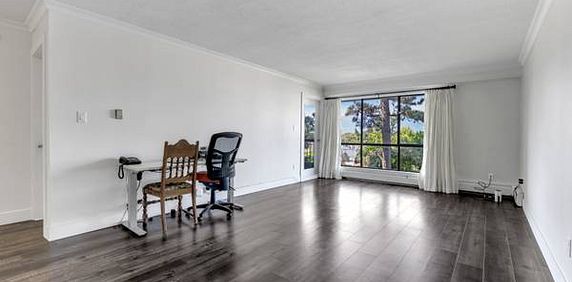 Beautiful Spacious 1 Bedroom Apartment In Vancouver - Photo 2