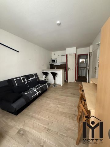 Location Appartement 1 pièce Meublé 19m² NANCY 54000 - Photo 2