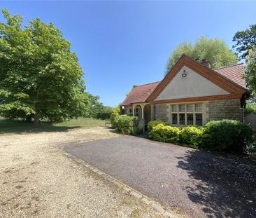 3 bedroom detached house to rent - Photo 6