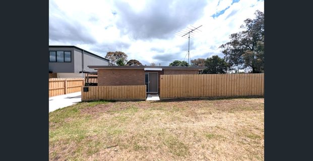 Superbly Located, Fully Renovated 4-Bedroom Gem in Belmont - Photo 1