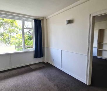 Large 2 bedroom plus study in handy Thorndon location - Photo 4