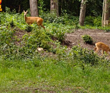 Pilvägen, Sollentuna - Photo 4