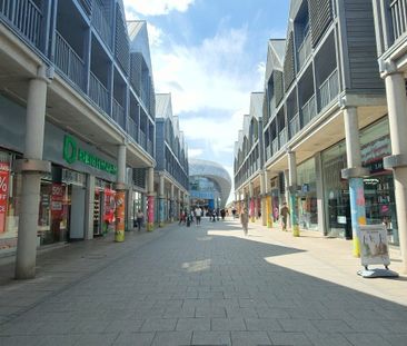 Auction Street - Photo 1