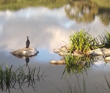 Williamstown North - Photo 2